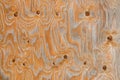 Wood panel with texture created by knots and veins Royalty Free Stock Photo