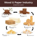 Wood paper manufacturing flat infographic schema from cut logs lumber chips pulp converted to paperboard illustration Royalty Free Stock Photo