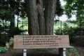 A wood park bench engraved with a poem by Luis R. Owano in front of a tree and plants in a garden in Wisconsin