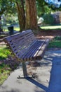 Wood Park Bench HDR