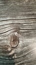 Wood Royalty Free Stock Photo