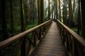 A wood path in Alishan National Scenic Area Cypress trail