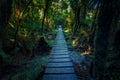 Wood path through fern forest in matheson lake new zealand