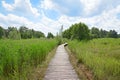 Wood path in nature park Het Beekbergse Woud. Royalty Free Stock Photo