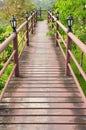 Wood path over garden Royalty Free Stock Photo