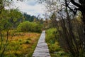 Wood pathway throug a fen Royalty Free Stock Photo