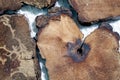 Wood pattern background Close up detail of wooden texture Royalty Free Stock Photo