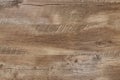 Wood pattern texture