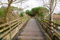 Wood pedestrian bridge beach access in Sanguinet lake