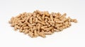 Wood pellet Royalty Free Stock Photo