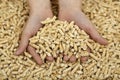 Wood pellets