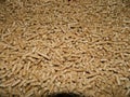 Wood Pellets Royalty Free Stock Photo