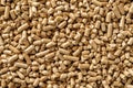 Wood pellets background. Texture of compacted sawdust granules. Ecological biofuel made from compressed sawdust as alternative Royalty Free Stock Photo