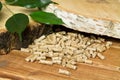 Wood pellets, birch and twig with leaves. Biomass Pellets- cheap energy. The concept of biofuel production Royalty Free Stock Photo