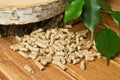 Wood pellets, birch and twig with leaves. Biomass Pellets- cheap energy. The concept of biofuel production Royalty Free Stock Photo