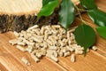 Wood pellets, birch and twig with leaves. Biomass Pellets- cheap energy. The concept of biofuel production Royalty Free Stock Photo