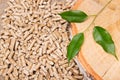 Wood pellets, birch and twig with leaves. Biomass Pellets- cheap energy. The concept of biofuel production Royalty Free Stock Photo