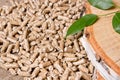 Wood pellets, birch and twig with leaves. Biomass Pellets- cheap energy. The concept of biofuel production Royalty Free Stock Photo