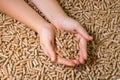 Wood pellets close up .Biofuels. Alternative biofuel from sawdust . Wood pellets in hand. The cat litter.