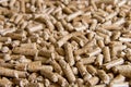 Wood pellets close up .Biofuels. Biomass Pellets - cheap energy. The cat litter