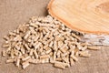 Wood pellets close up .Wooden pellet bio fuel. Biomass Pellets - cheap energy. The cat litter