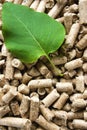Wood Pellets & Green Leaf Royalty Free Stock Photo