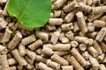 Wood Pellets with a green leaf Royalty Free Stock Photo