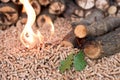 Wood and pellets