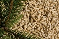 Wood pellets and red deal Royalty Free Stock Photo