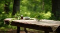 wood picnic table top