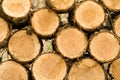 Wood Pile Royalty Free Stock Photo