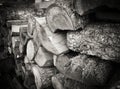 Wood pile in black and white