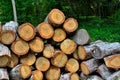 Wood pile, cut and ready to be split for firewood Royalty Free Stock Photo