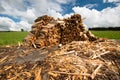 Wood pile of fresh chopped fire wood