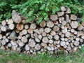 Wood pile stacked outside  ready for winter burning Royalty Free Stock Photo