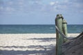 Wood Piling on Beach Royalty Free Stock Photo