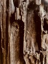 wood pillar brown background Royalty Free Stock Photo