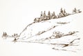 Firs on hill above river. Vector drawing