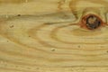 Wood pine texture. Grain, cover. Carpenter, decorative. Royalty Free Stock Photo