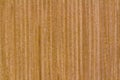 Wood plank brown texture background