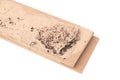 Wood plank destroyed by termites Royalty Free Stock Photo