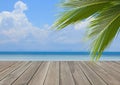 Wood plank over beach with coconut palm tree Royalty Free Stock Photo