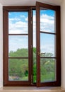 Wood plastic vinyl window