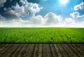 Wood platform and fresh grass field Royalty Free Stock Photo