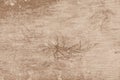 Wood plywood background old pattern wall plank brown color texture nature wallpaper vintage Royalty Free Stock Photo