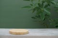 Wood podium on concrete table top floor tropical plant with blurred dark green background.Healthy natural product placement Royalty Free Stock Photo
