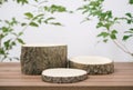 Wood podium on table top tree branch green leaf white space nature background.Beauty cosmetic natural product display Royalty Free Stock Photo