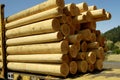 Wood Poles 2