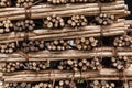 Wood Poles Cut Stacked Royalty Free Stock Photo