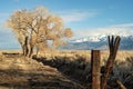 Wood post on rural dirt road with winter tree and snowy mountain range